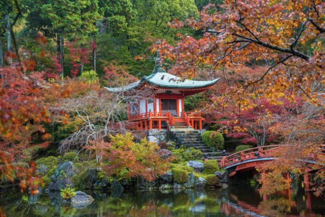 Tour du lịch Nhật Bản tháng 10 mùa lá đỏ chỉ 19.990.000Đ