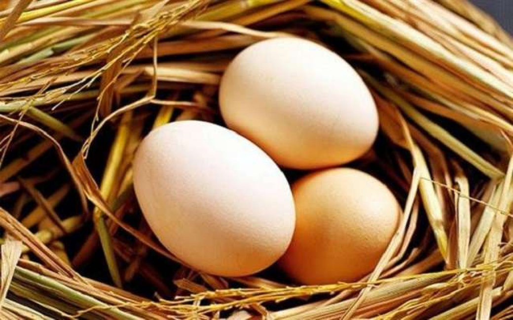 7 cách chọn trứng gà tươi, ngon và sạch cho người nội trợ