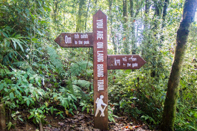 đà lạt, lâm đồng, leo núi, trekking, núi langbiang ở đâu? kinh nghiệm leo núi langbiang đầy đủ nhất