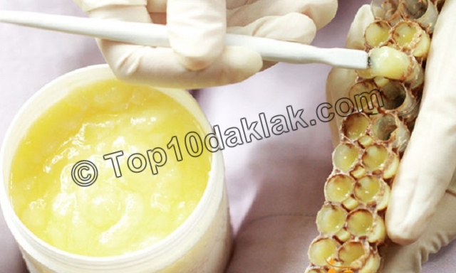 top 10 công dụng của sữa ong chúa chữa bệnh hiệu quả