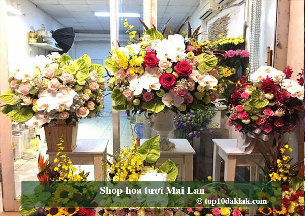 top 10 shop hoa tươi tại buôn ma thuột , đắk lắk