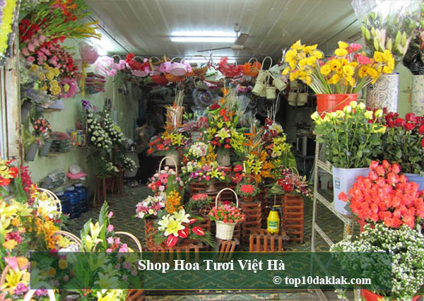 top 10 shop hoa tươi tại buôn ma thuột , đắk lắk