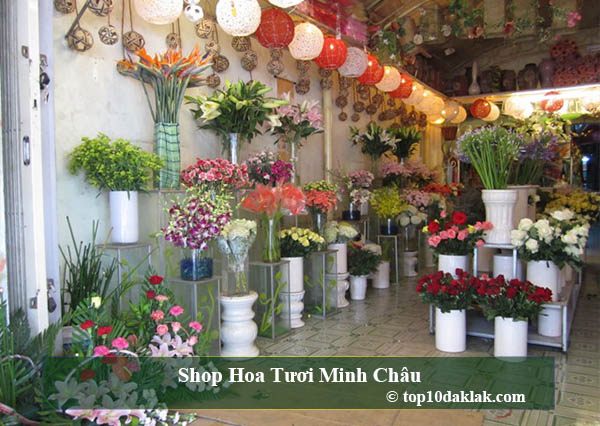 top 10 shop hoa tươi tại buôn ma thuột , đắk lắk