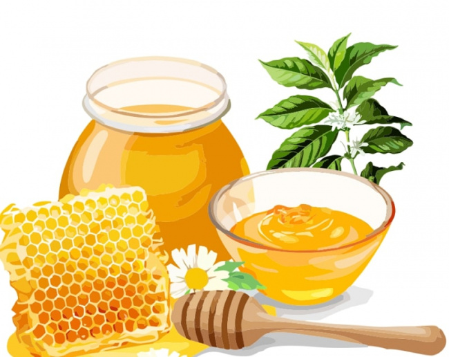 10 sự thật về mật ong hoa cà phê mà bạn chưa biết