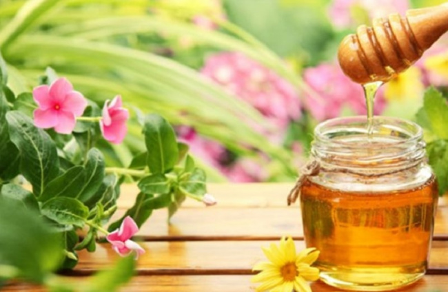 10 sự thật về mật ong hoa cà phê mà bạn chưa biết