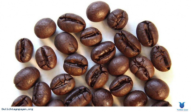 tây nguyên có bao nhiêu loại cà phê?, tây nguyên có bao nhiêu loại cà phê?