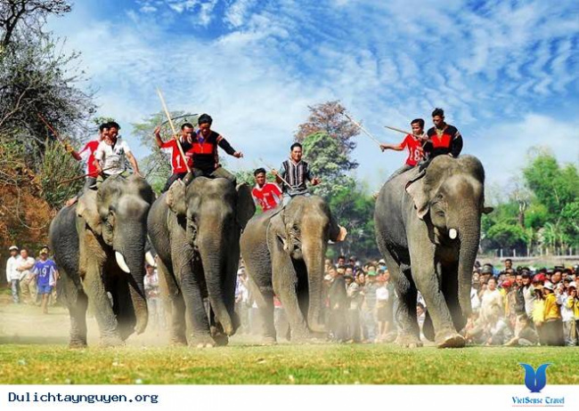 tây nguyên tháng 3 rộn ràng lễ hội đua voi trên buôn đôn, tay nguyen thang 3 ron rang le hoi dua voi tren buon don, tây nguyên tháng 3 rộn ràng lễ hội đua voi trên buôn đôn