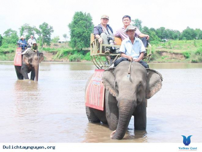 Hoạt động du lịch cưỡi voi sẽ hạn chế trong thời gian tới