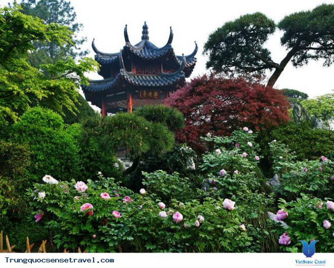 Những địa điểm ngắm trăm hoa khoe sắc khi đi du lịch Trung Quốc