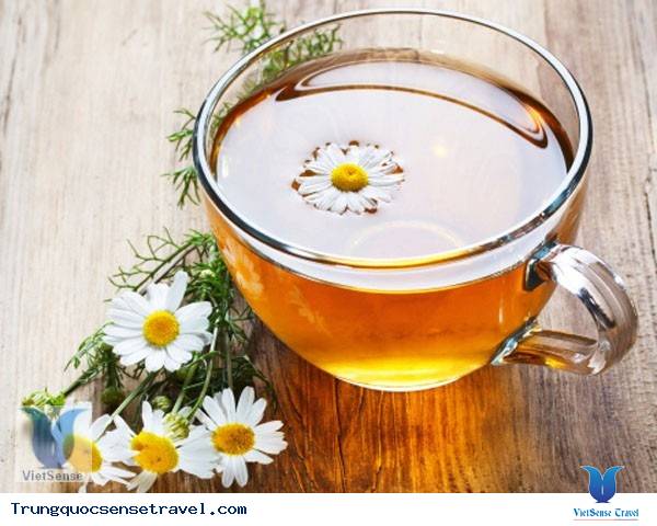 trà hoa cúc - trung quốc