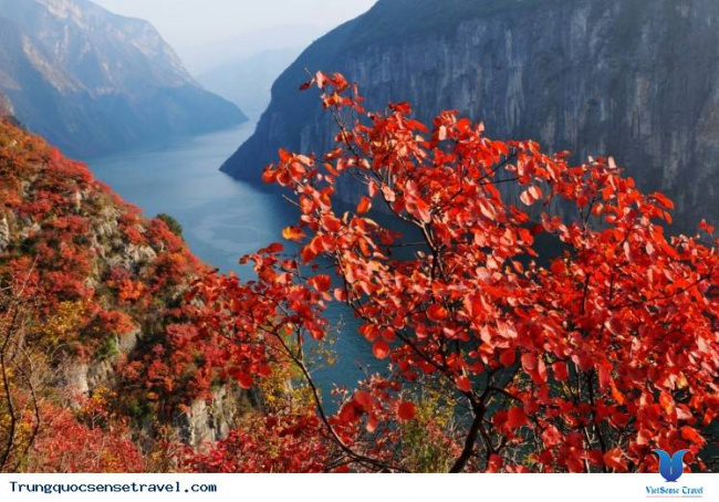 ngắm nhìn rừng vàng biển đỏ với mùa thu vàng ở trung quốc, điểm hẹn 2018
