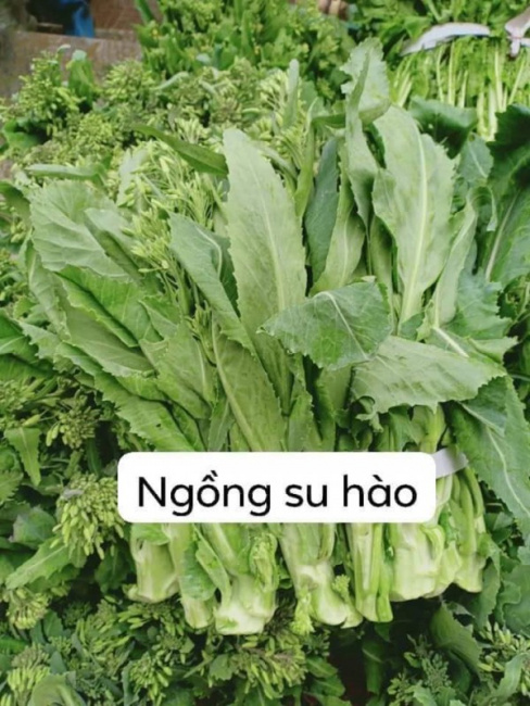 du lịch sapa chưa thưởng thức rau đặc sản là 1 thiếu sót