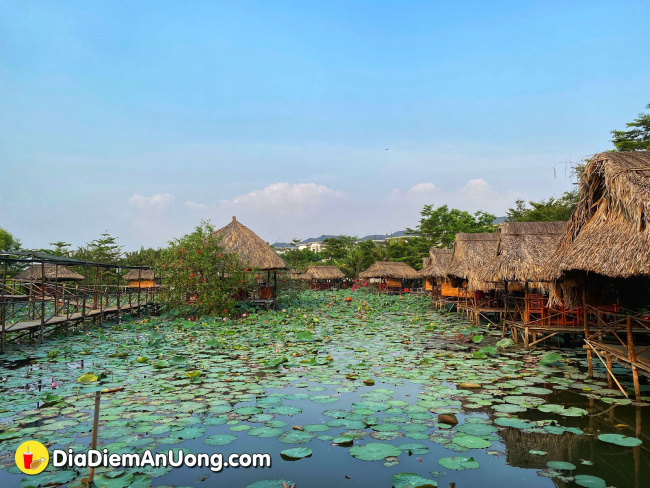 mê mẩn trước vẻ đẹp bình yên của khu ẩm thực sinh thái sen nam bộ, vừa nên thơ vừa lãng mạn