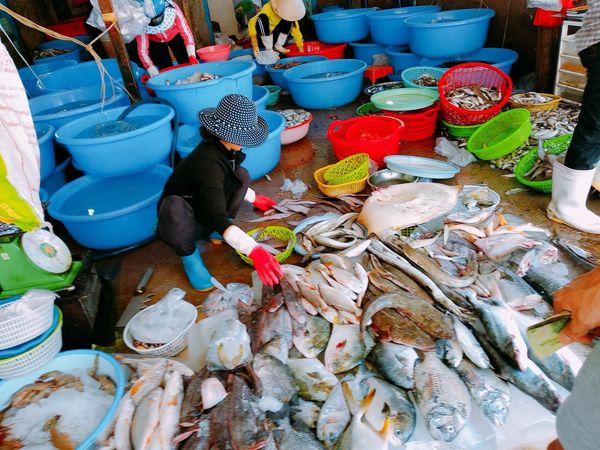 Dân nằm vùng chỉ điểm vựa hải sản tươi ngon, giá rẻ rề tha hồ “quẹo lựa” ít ai biết ở Vũng Tàu