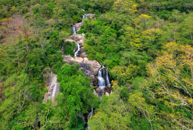 chua mountain, ecotourism, ninh thuan, ninh thuan tourism, chua mountain – the world’s new biosphere reserve