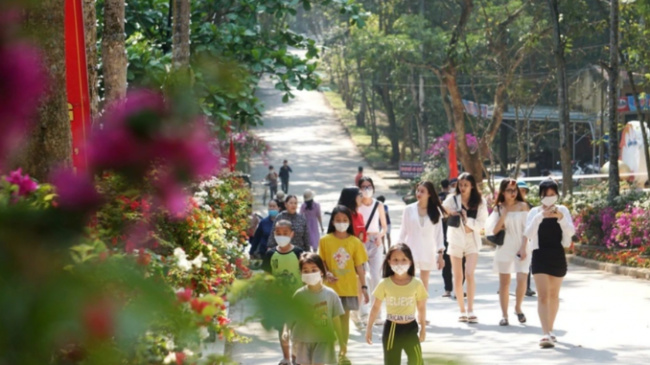 Young people enjoy “virtual life” with the flower road of love on Truong Le Peak
