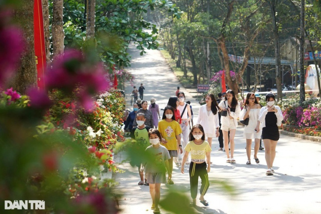 drum island, flower street, love, virtual life, young people enjoy “virtual life” with the flower road of love on truong le peak