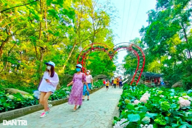 drum island, flower street, love, virtual life, young people enjoy “virtual life” with the flower road of love on truong le peak