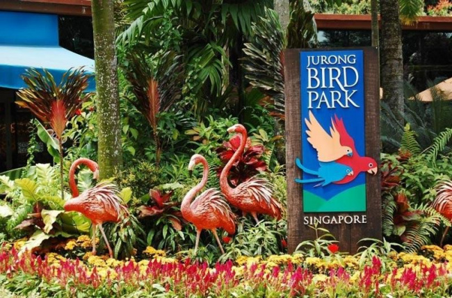 Kinh nghiệm tham quan vườn chim Jurong từ A-Z