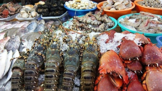 , [thổ địa chia sẻ] top 6 chợ hạ long bán hải sản chất lượng, giá rẻ nhất