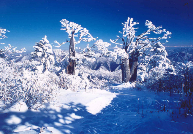 , những địa điểm ngắm tuyết đẹp nhất ở hàn quốc