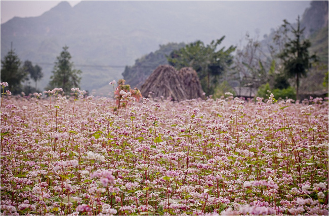 Hà Giang - Trải nghiệm của BestPrice