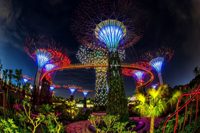, singapore - khám phá những sắc màu về đêm