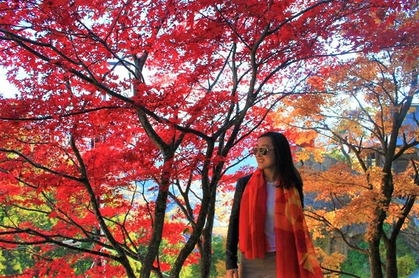 Top 5 điểm check-in đẹp nhất mùa thu Nhật Bản