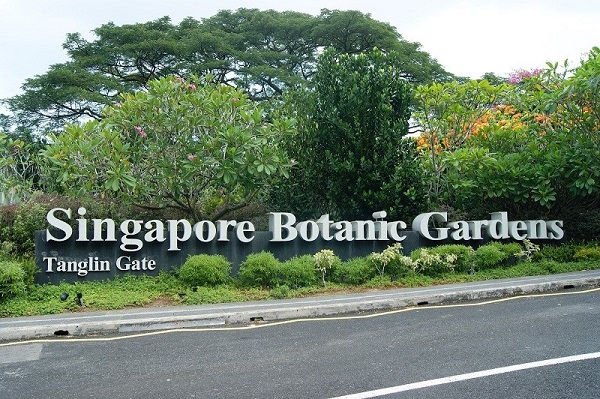 Hòa cùng thiên nhiên tại vườn Botanic Garden ở Singapore