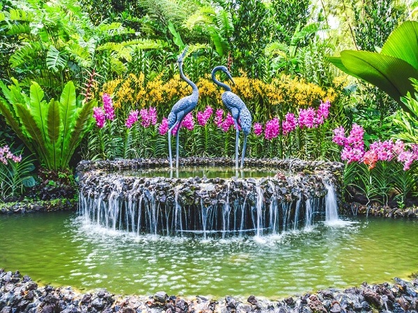 , hòa cùng thiên nhiên tại vườn botanic garden ở singapore