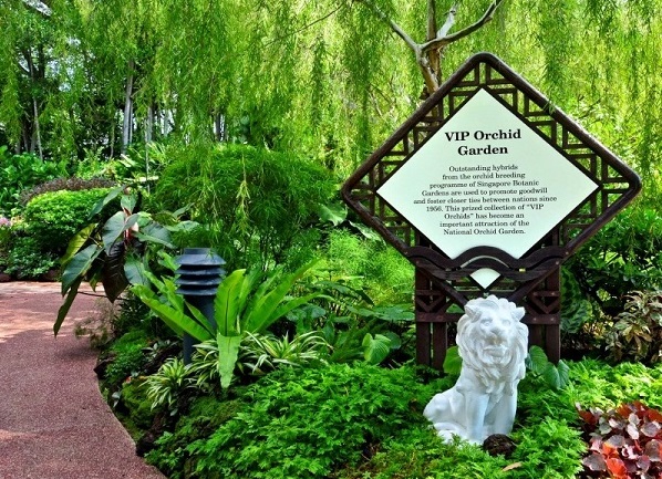 , hòa cùng thiên nhiên tại vườn botanic garden ở singapore