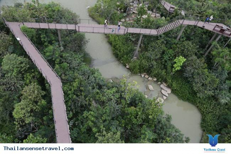 khu vườn xanh tươi từng có “quá khứ” bất ngờ giữa lòng bangkok