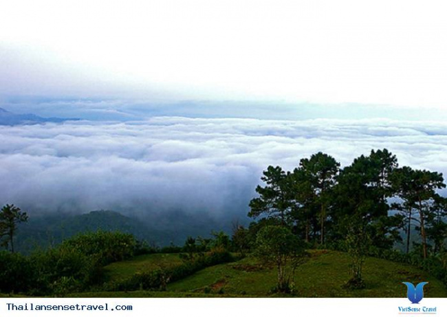 biển mây tại huay nam dang - chiang mai