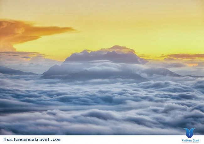 biển mây tại huay nam dang - chiang mai