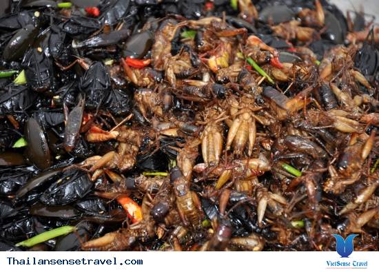 Đến Thái Lan ăn đặc sản côn trùng