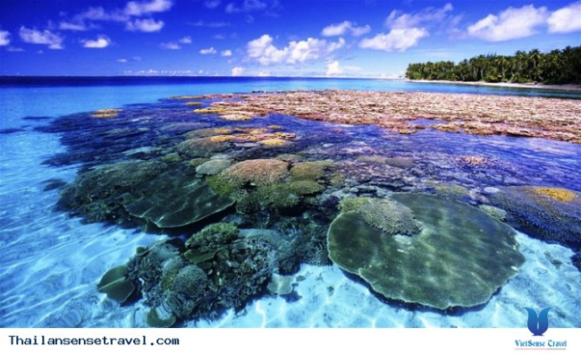 Đảo san hô Coral Island Thái Lan- vẻ đẹp hoang sơ quyến rũ du khách Việt