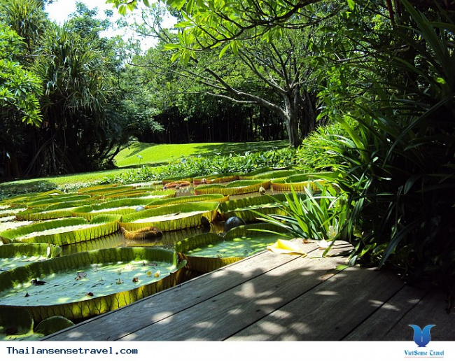 mát dịu với thiền viện xanh ở bangkok của thái lan