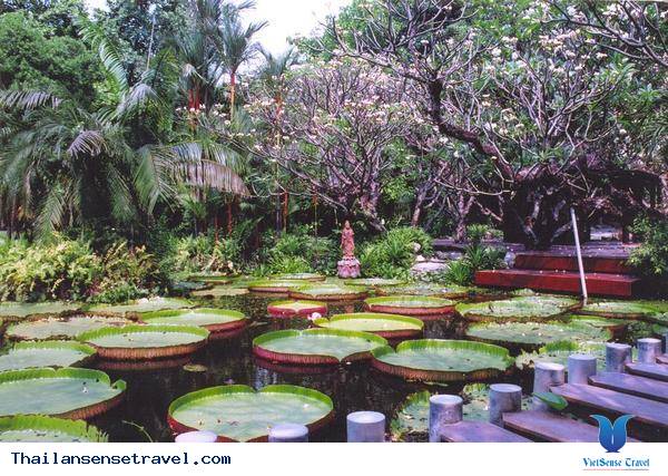 mát dịu với thiền viện xanh ở bangkok của thái lan