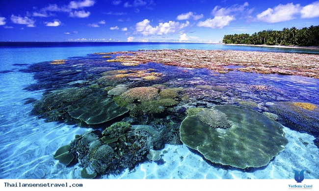 đến với pattaya – khám phá thiên đường đảo san hô koh larn