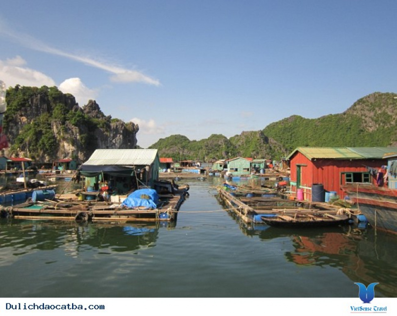 Làng chài Cái Bèo – Chèo thuyền thưởng ngoạn ngôi làng cổ nhất Việt Nam