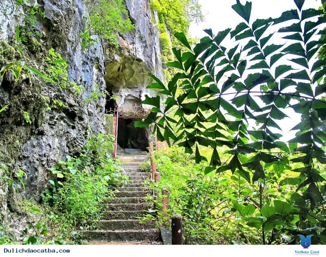 Khám phá hang động Trung Trang – Cát Bà