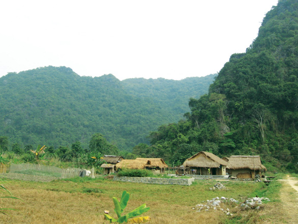 Vẻ đẹp thôn dã của làng Việt Hải giữa đảo Cát Bà