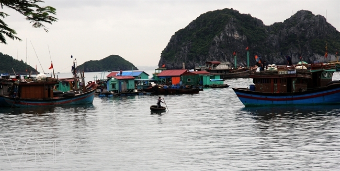 Du lịch Cát Bà – Ghé thăm làng chài cổ nhất Việt Nam