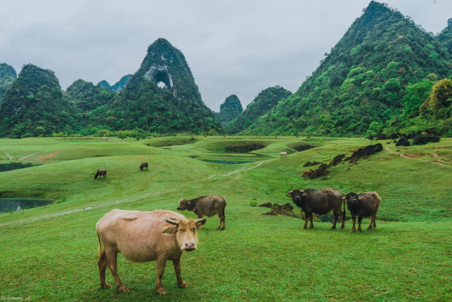 cao bang, ha giang, northern, 700 km motorbike journey through ha giang – cao bang