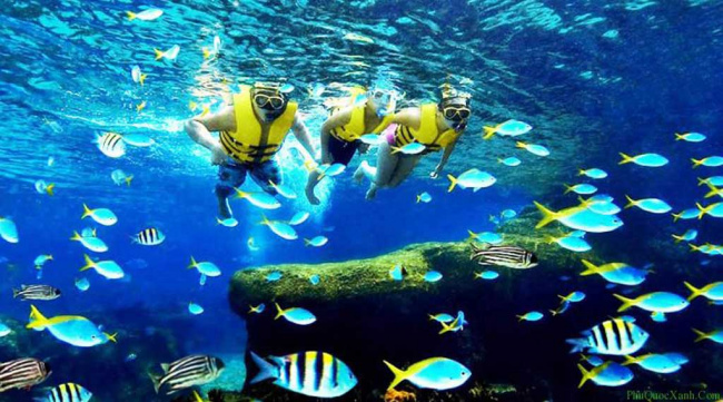 top 5 địa điểm lặn biển đẹp nhất tại việt nam.