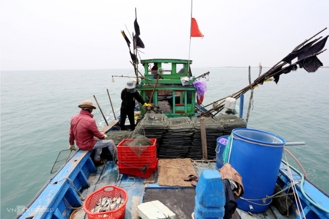 catch crabs, fishermen, quang nam, release cage, three-dot crab, release cages to catch crabs