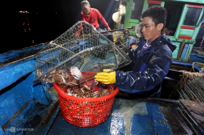 catch crabs, fishermen, quang nam, release cage, three-dot crab, release cages to catch crabs