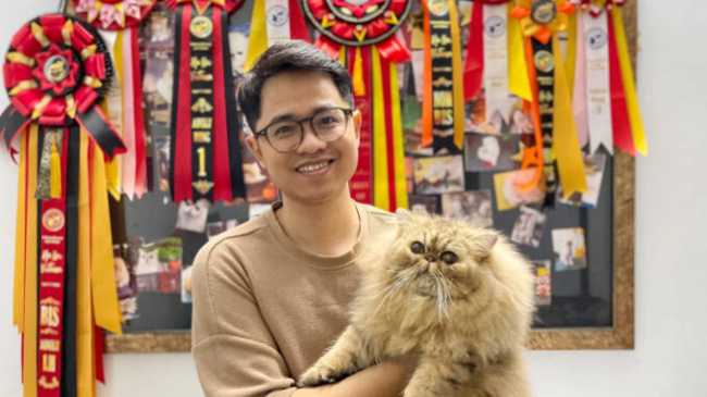 The boy who bred hundreds of millions of cats
