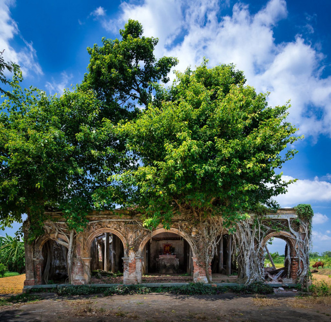 đình tân đông, địa điểm du lịch tiền giang, đình tân đông – ngôi đình độc đáo nằm trong cây bồ đề