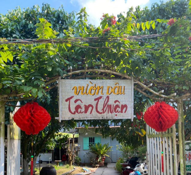 Vườn Dâu Tân Thuận – Cao Lãnh – Đồng Tháp
